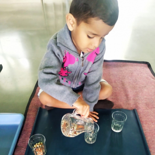 Sorting and Pouring of Grains Activity by Montessori Students