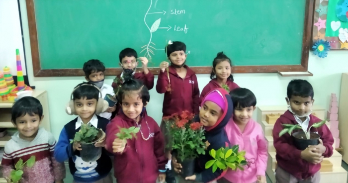 Parts of Plant Activity by Montessori Students