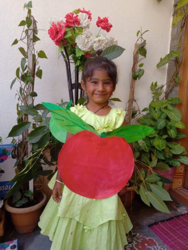 LKG-Fancy dress -Fruits and Vegetables-Aishwarya